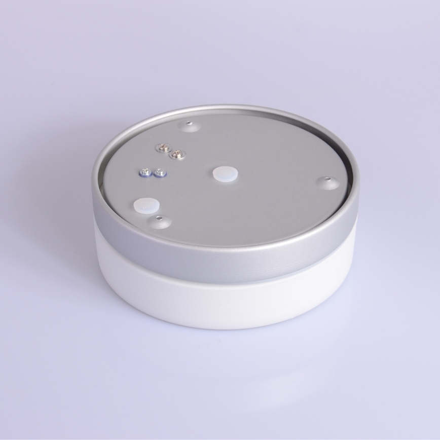 Globo - Badkamerlamp 1xE27/60W/230V diameter 18,4 cm IP44