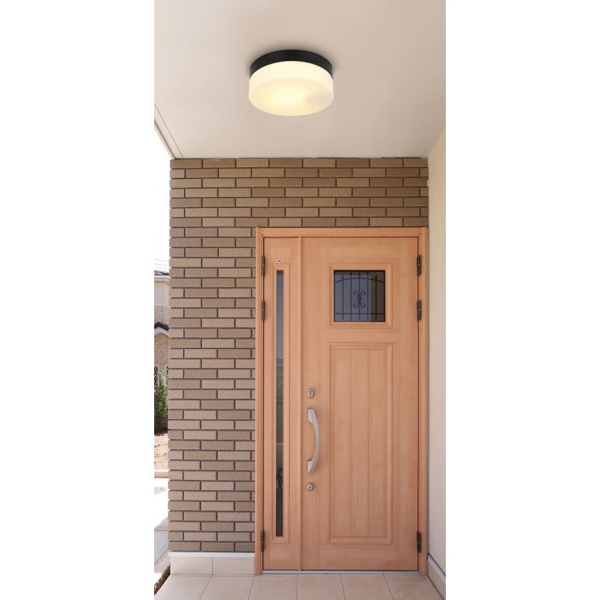 Globo - Badkamerlamp 1xE27/60W/230V diameter 18,4 cm IP44