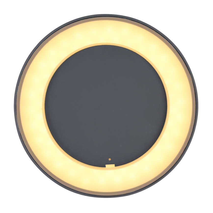 Globo - LED Plafond Lamp voor Buiten LED/12W/230V IP54