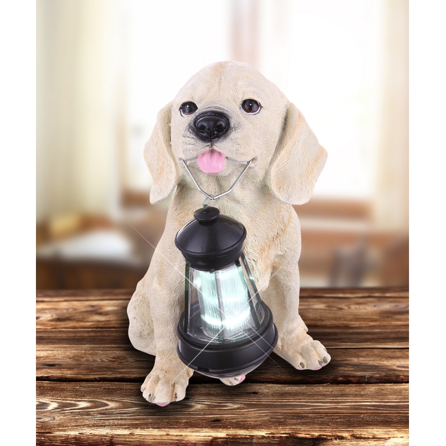 Globo - LED Solar lamp LED/0,06W/3V hond IP44 600 mAh