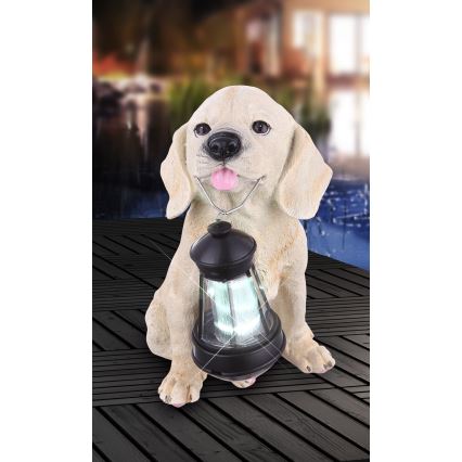 Globo - LED Solar lamp LED/0,06W/3V hond IP44 600 mAh