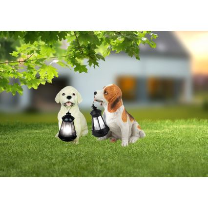 Globo - LED Zonne-energie lamp LED/0,06W/3V hond IP44 600 mAh