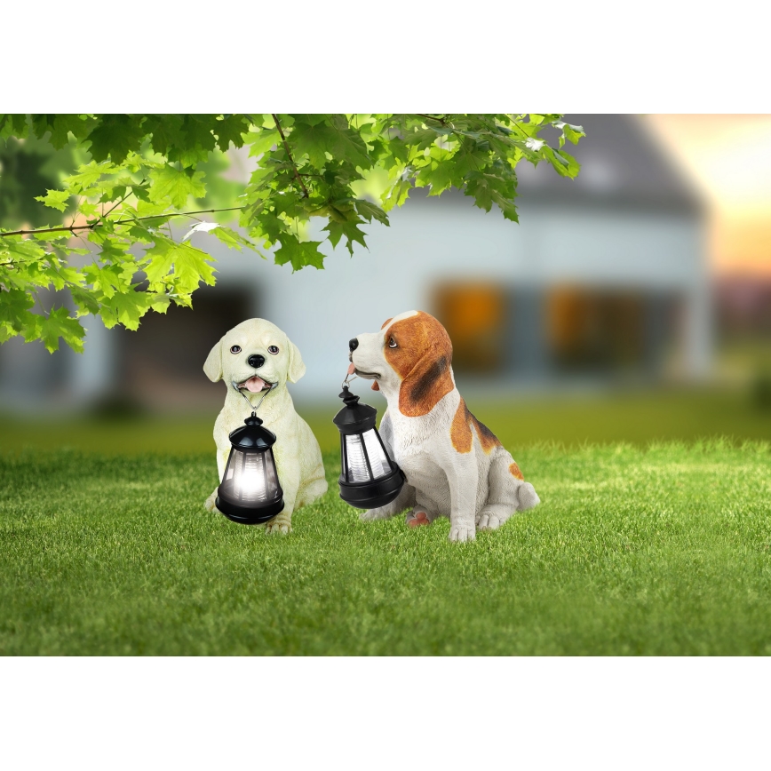 Globo - LED Zonne-energie lamp LED/0,06W/3V hond IP44 600 mAh