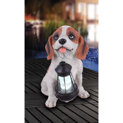 Globo - LED Zonne-energie lamp LED/0,06W/3V IP44 600 mAh