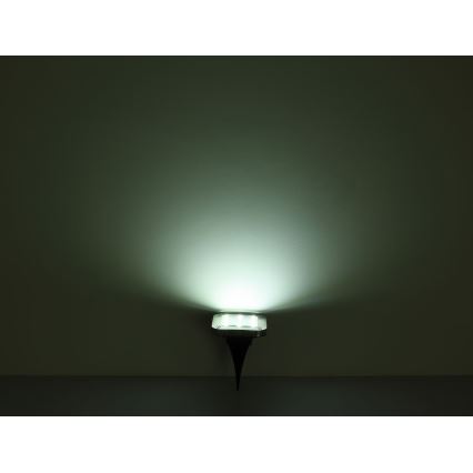 Globo - SET 2x LED Solar lamp LED/0,8W/1,2V IP44 300 mAh