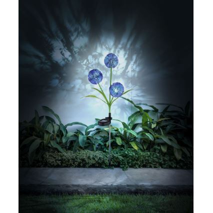 Globo - LED Solar lamp 3xLED/0,06W/3V 5000K IP44 paars