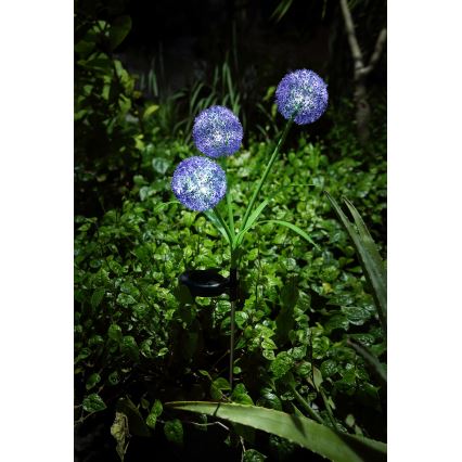 Globo - LED Solar lamp 3xLED/0,06W/3V 5000K IP44 paars