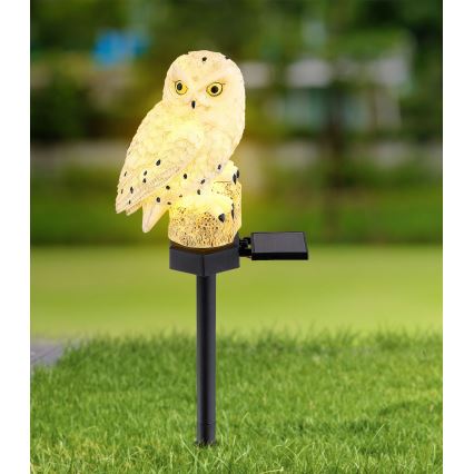 Globo - LED Solar lamp LED/0.06W/3V IP44 uil