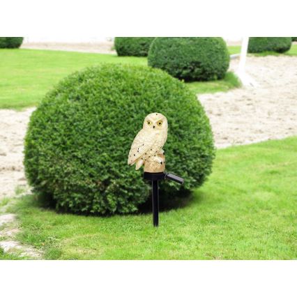 Globo - LED Solar lamp LED/0.06W/3V IP44 uil