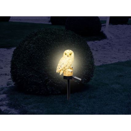 Globo - LED Solar lamp LED/0.06W/3V IP44 uil