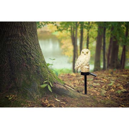 Globo - LED Solar lamp LED/0.06W/3V IP44 uil