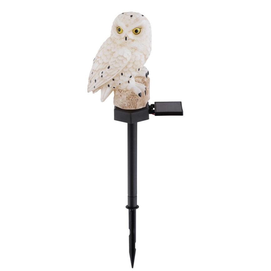 Globo - LED Solar lamp LED/0.06W/3V IP44 uil