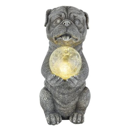 Globo - LED Solar decoratie LED/0,02W/3V IP44 hond