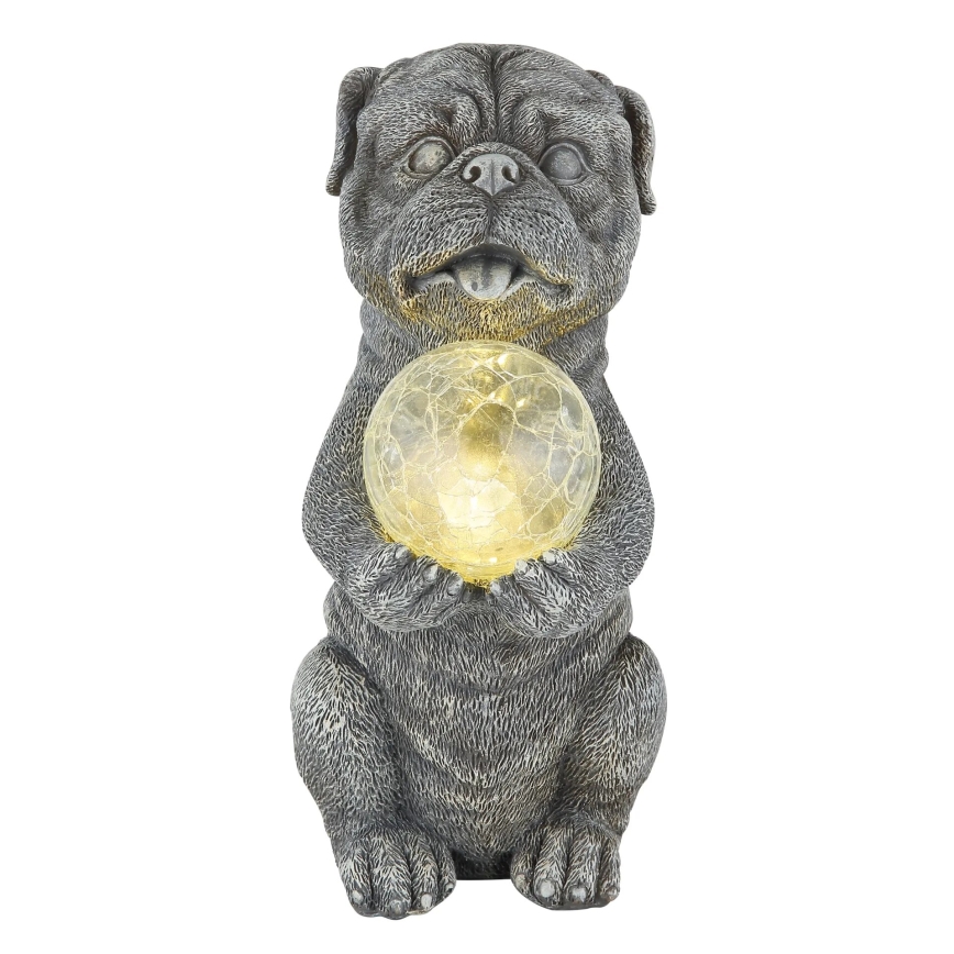 Globo - LED Solar decoratie LED/0,02W/3V IP44 hond