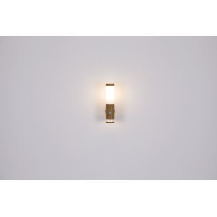 Globo - Wand Lamp voor Buiten 1xE27/15W/230V IP44