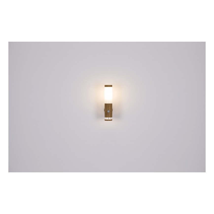 Globo - Wand Lamp voor Buiten 1xE27/15W/230V IP44