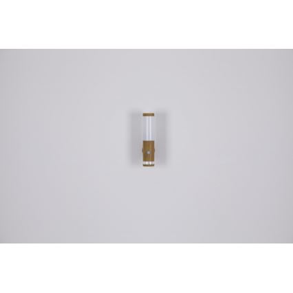 Globo - Wand Lamp voor Buiten 1xE27/15W/230V IP44