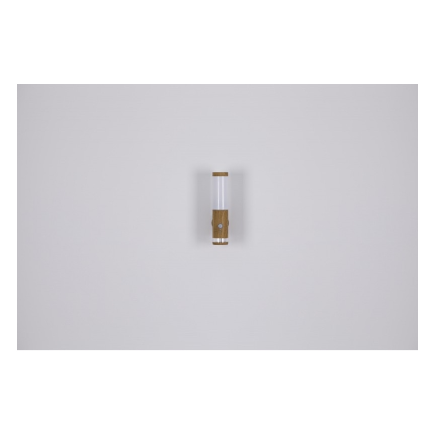 Globo - Wand Lamp voor Buiten 1xE27/15W/230V IP44