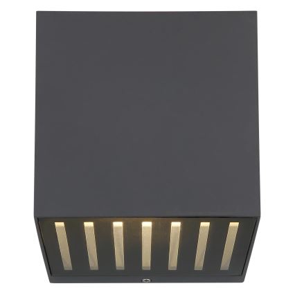 Globo - LED buitenwandlamp LED/6W/230V IP54 antraciet