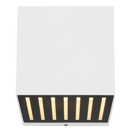 Globo - LED buitenwandlamp LED/6W/230V IP54 wit