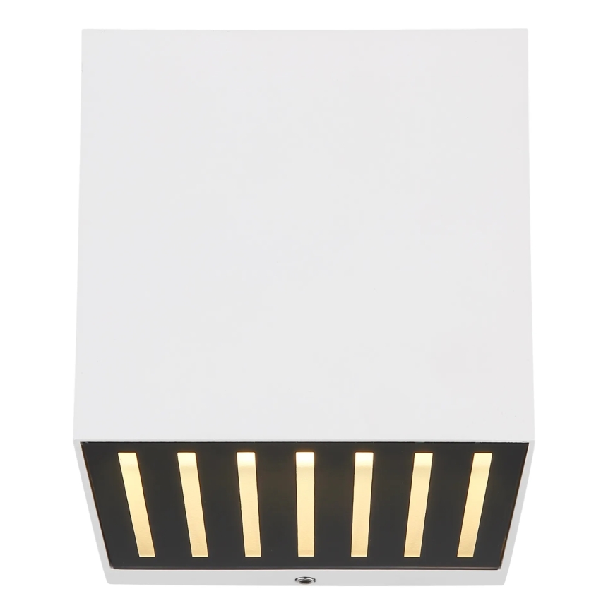 Globo - LED buitenwandlamp LED/6W/230V IP54 wit