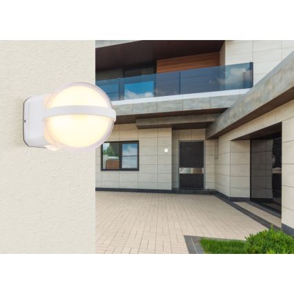 Globo - LED Wandlamp voor buiten LED/12W/230V IP54 wit