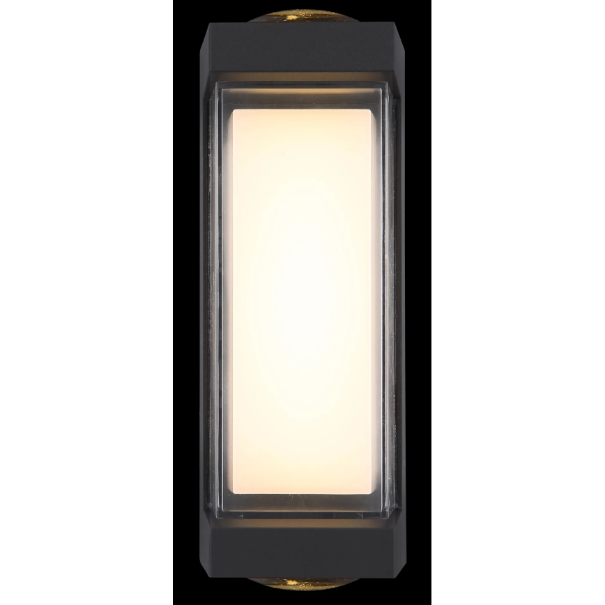 Globo - LED Wandlamp voor buiten LED/12W/230V 3000K IP54 antraciet