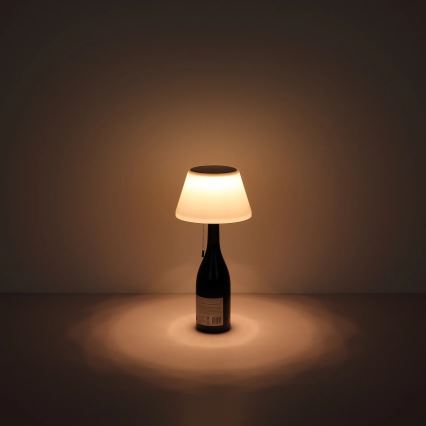 Globo - LED Zonne-fles lampenkap 10xLED/1,5W/3V IP44