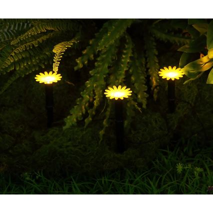 Globo - LED-zonnensnoer 5×LED/3V IP44 300 mAh 2,2 m bloemvormige lampjes