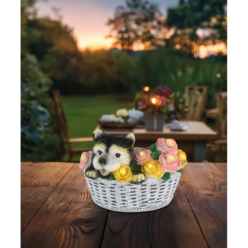 Globo - LED zonnelamp LED/1,2V IP44 300 mAh hond