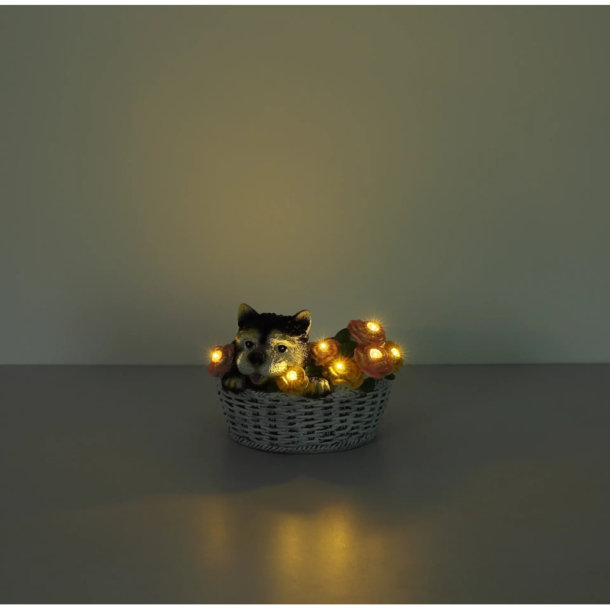 Globo - LED zonnelamp LED/1,2V IP44 300 mAh hond