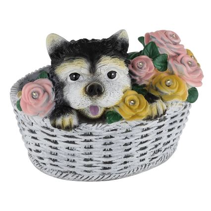 Globo - LED zonnelamp LED/1,2V IP44 300 mAh hond