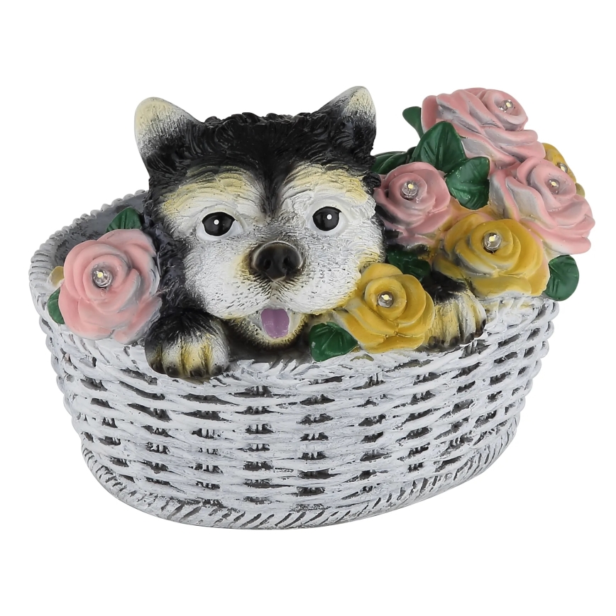 Globo - LED zonnelamp LED/1,2V IP44 300 mAh hond