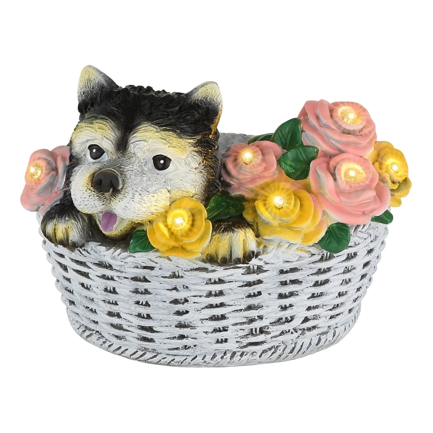 Globo - LED zonnelamp LED/1,2V IP44 300 mAh hond