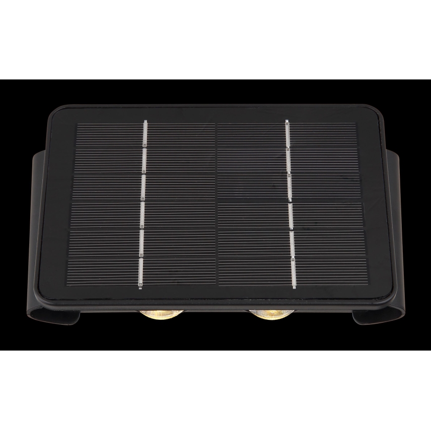 Globo - LED lamp op zonne-energie LED/1W/3,2V 3000K IP54