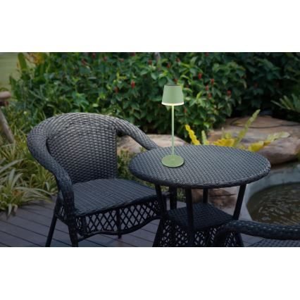 Globo - LED Solar lamp LED/0,06W/3V 3000K IP44 1200 mAh groen