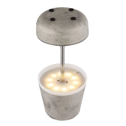 Globo - LED Solar lamp 10xLED/0,06W/3V IP44 800 mAh grijs