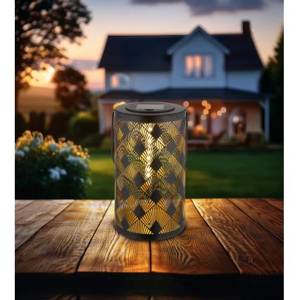 Globo - LED Solar lampion LED/0,5W/3V IP44