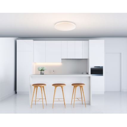 Globo - LED Plafondverlichting 1xLED/20W/230V