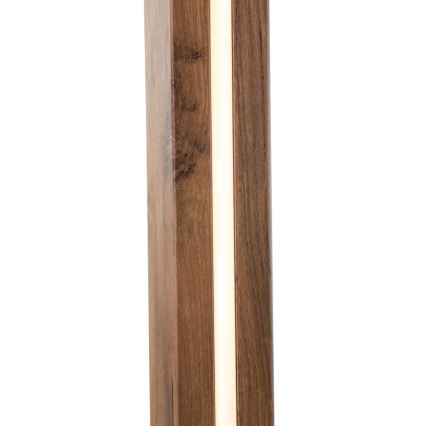 Globo - Staande LED Lamp LED/17W/230V + 1xE27/40W
