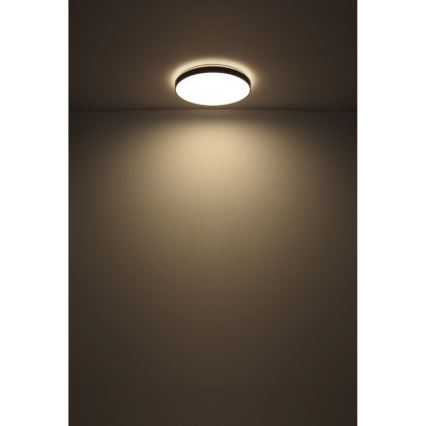 Globo - LED Plafondlamp LED/24W/230V