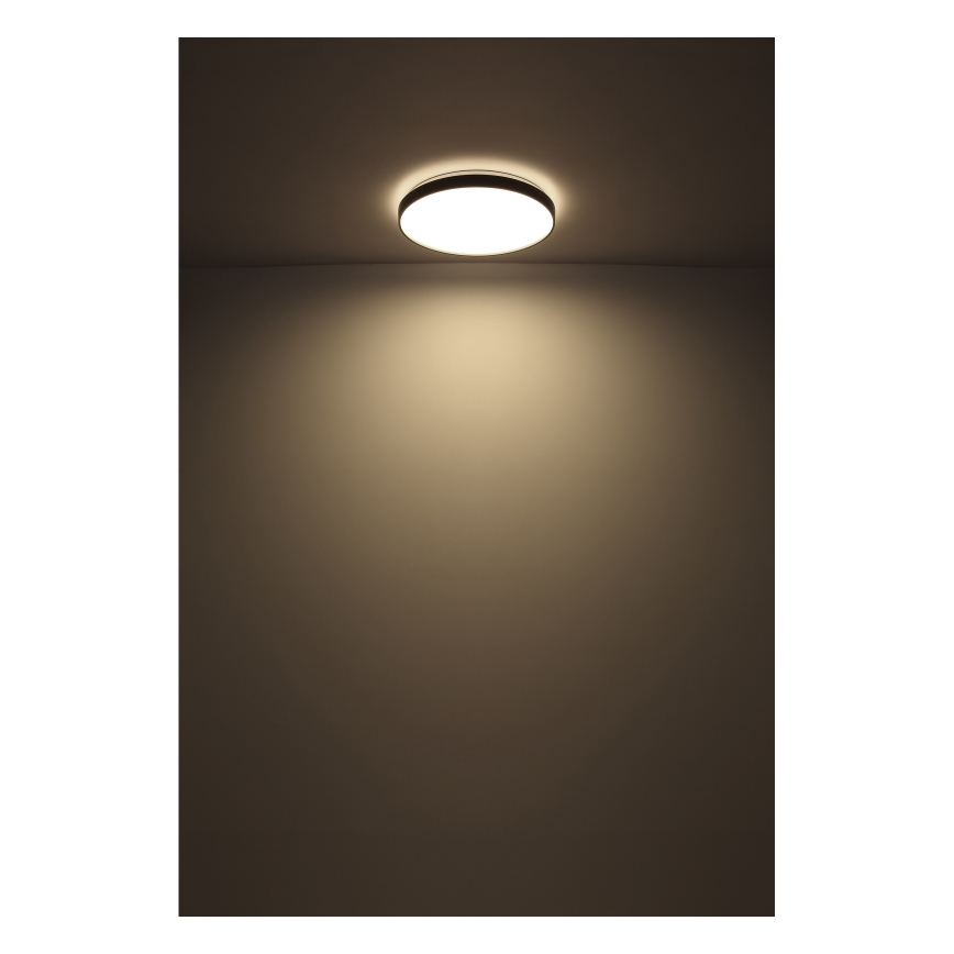 Globo - LED Plafondlamp LED/24W/230V