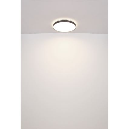 Globo - LED Plafondlamp LED/24W/230V