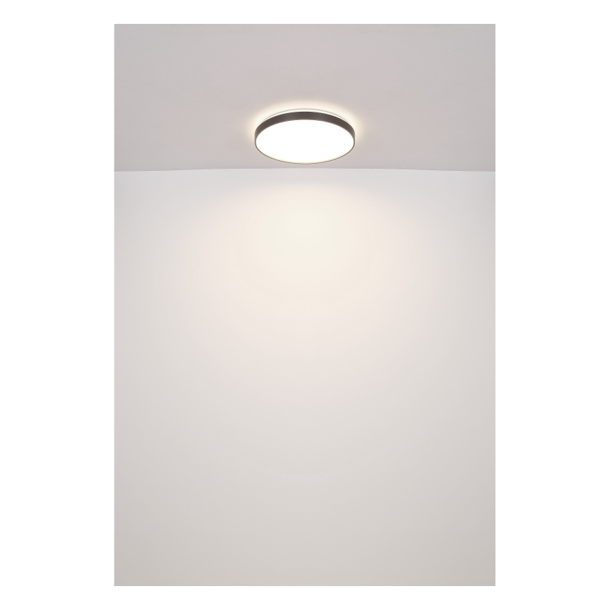 Globo - LED Plafondlamp LED/24W/230V