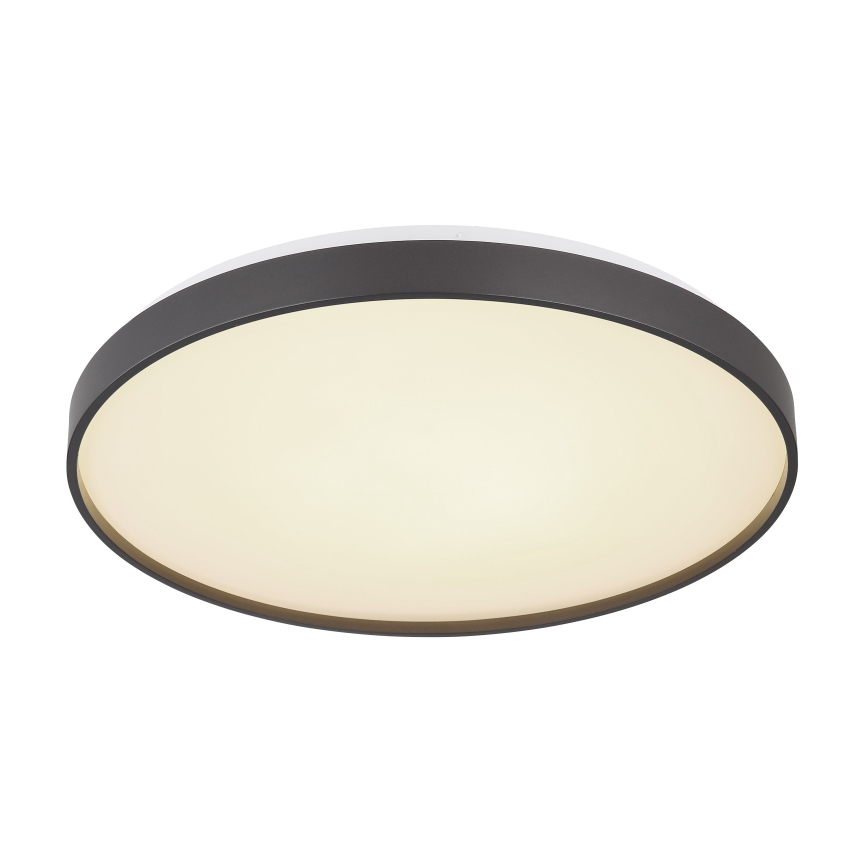 Globo - LED Plafondlamp LED/24W/230V