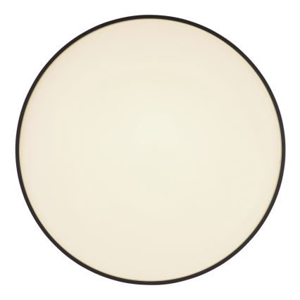 Globo - LED Plafondlamp LED/24W/230V