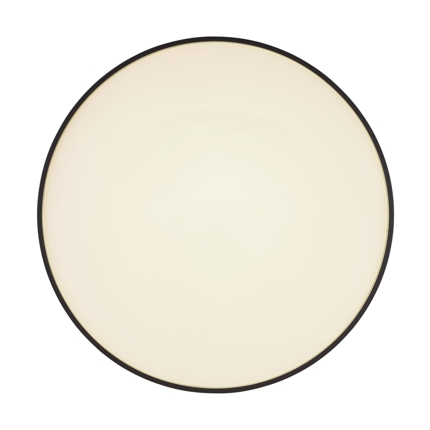 Globo - LED Plafondlamp LED/24W/230V