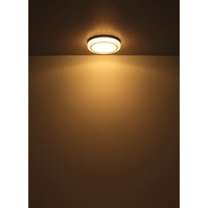 Globo - LED Plafondlamp LED/24W/230V diameter 40 cm 3000K wit