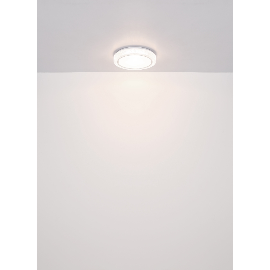 Globo - LED Plafondlamp LED/24W/230V diameter 40 cm 4000K wit