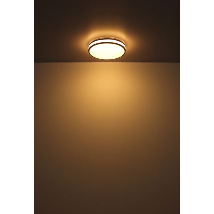 Globo - LED RGBW Dimbare plafondlamp LED/18W/230V 2700-6000K + afstandsbediening